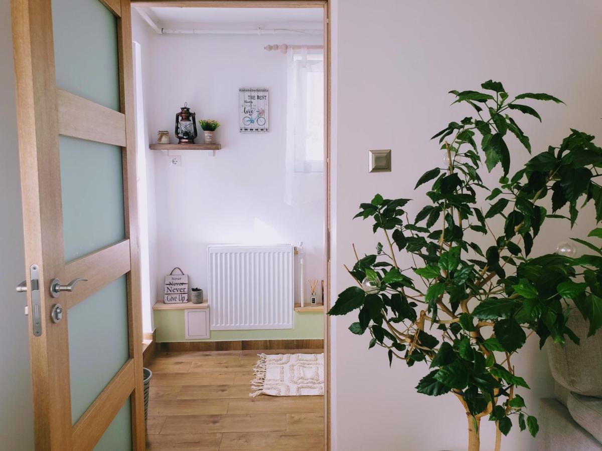 Cosy Studio-House With Terrace Târgu-Mureş Exterior foto